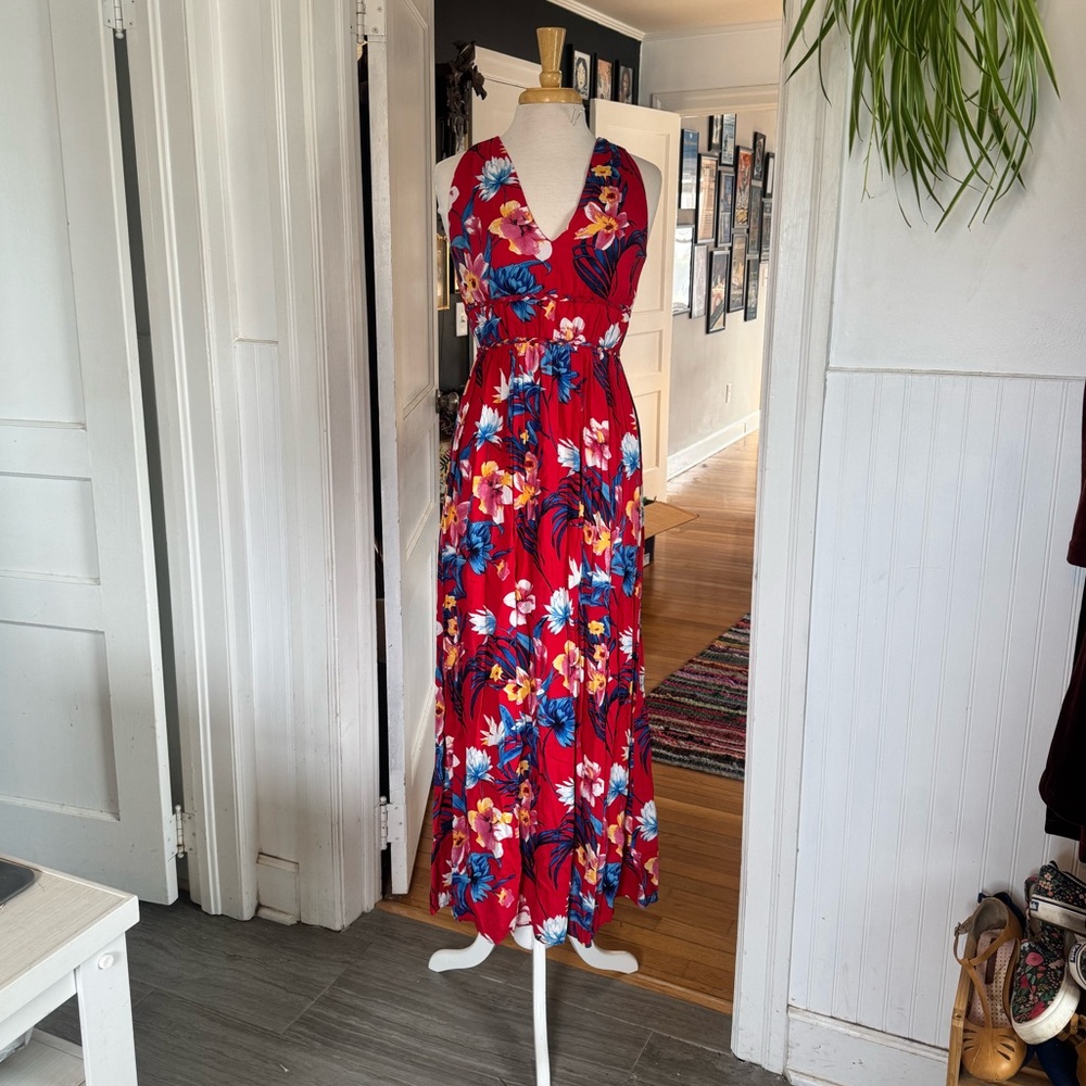 Japna Red and Blue Floral Maxi Dress with
